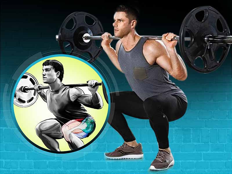 why squats is better than leg press exercise sag स्क्वाट करना लेग