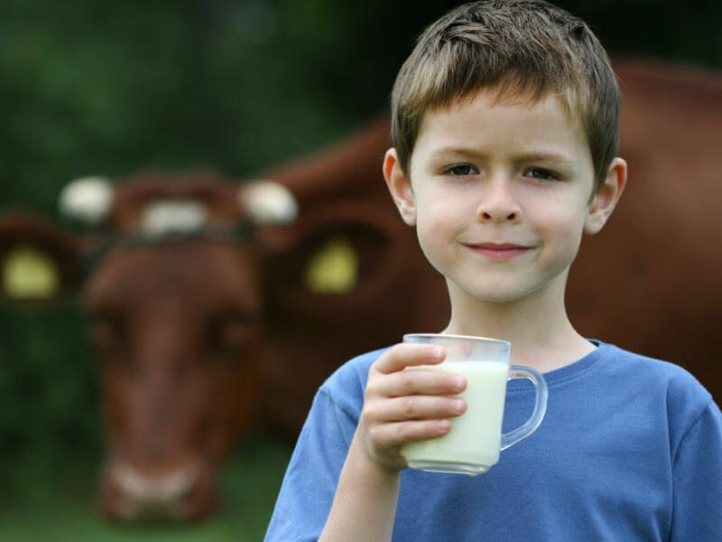 amazing health benefits of cow milk asr गाय का दूध पीने से होने वाले