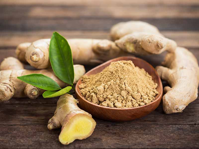 10 Health Benefits of Ginger During Pregnancy - The Healthy Honeys