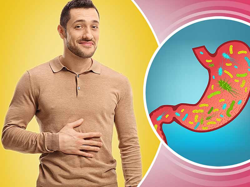 How gut bacteria affects your weight lifealth