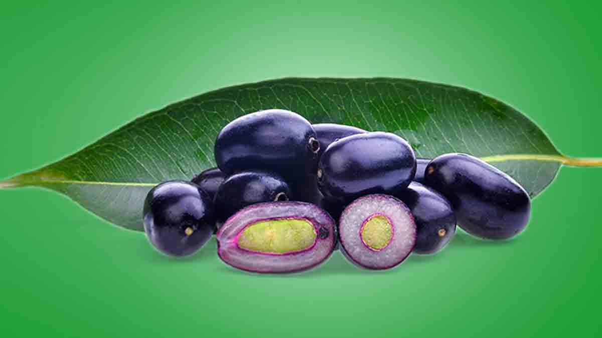 Jamun Seeds What Are The Health Benefits Of Consuming Jamun Seeds Lifealth